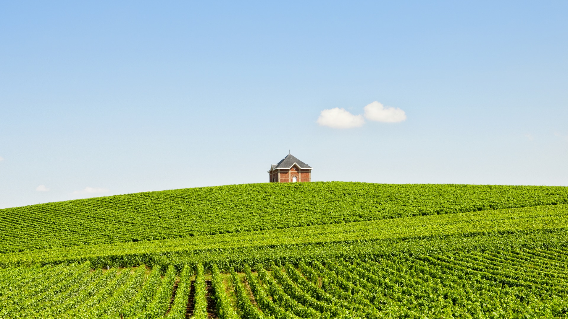 Photo-header-Moet-Mont-Aigu